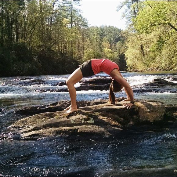 Meet your Posher, Elfie - Picture 1 of 1